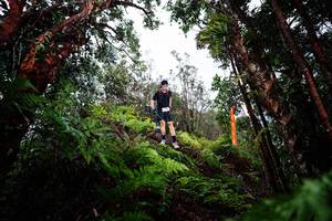 BIB: 
                            <button type="button" onclick="openModal(26203747)" class="btn btn-primary btn-sm float-right btn-popup" data-toggle="modal" data-target=".modal-high-quality">
                        <i class="fas fa-shopping-cart"></i> Add to Cart
                    </button>
                                            <button type="button" onclick="isThisMe(26203747, true)" class="btn btn-success btn-sm float-right btn-popup btn-isme hidden" data-toggle="tooltip" data-placement="bottom" title="นี่คือรูปของคุณใช่ไหม คลิกที่นี่เพื่อเอาเข้าอัลบั้ม">
                        <i class="fas fa-plus"></i> Add to album
                    </button>
                    <button type="button" onclick="isThisMe(26203747, false)" class="btn btn-warning btn-sm float-right btn-popup btn-isnotme hidden">
                        <i class="fas fa-ban"></i> Remove from album
                    </button>